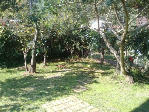 Surf Paradise Apartamentos