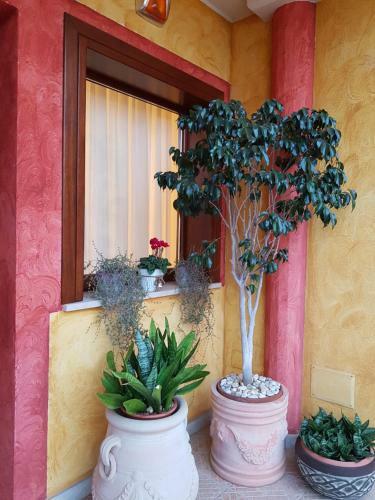 Hostal Grace Dell'isola Dei Coralli