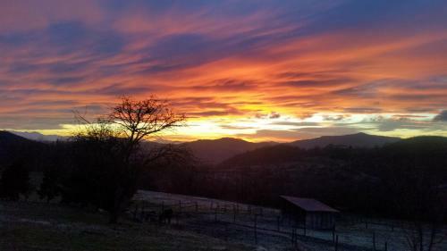 Bed & Breakfast La Quiete Tra Le Colline