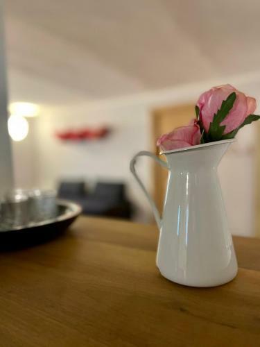 Apartamento Marty?s Houseappartamento Nel Cuore Della Valle Stura
