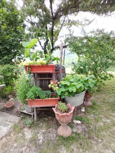 Hostal Tra Grilli E Cicale
