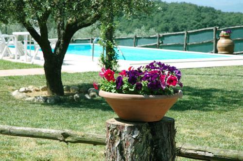 Agroturismo Casale Il Colle Deruta