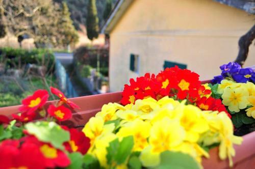 Apartamento Come A Casa