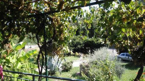 Apartamento Come A Casa