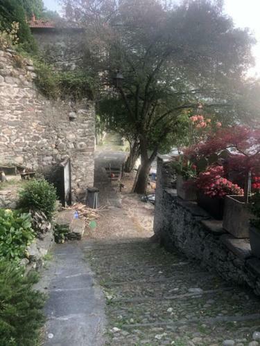 Apartamento Casa Rosa