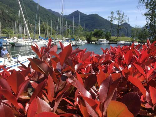 Apartamento Comolakehome A Due Passi Dal Lago