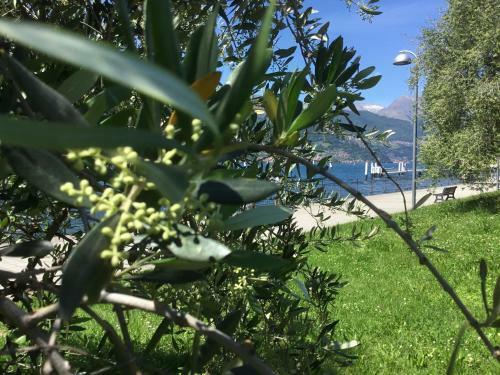 Apartamento Comolakehome A Due Passi Dal Lago