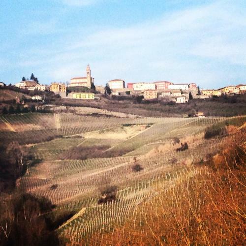 Agroturismo Cascina Maina