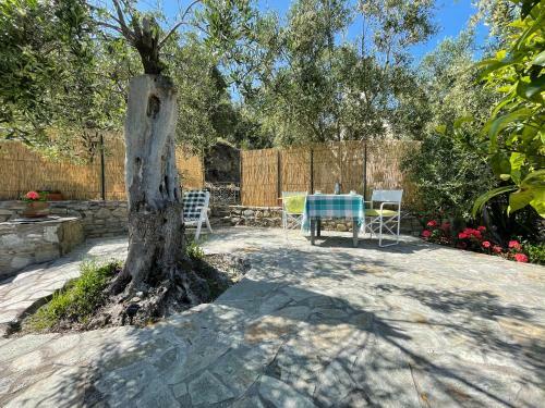 Apartamento Piccola Navetta