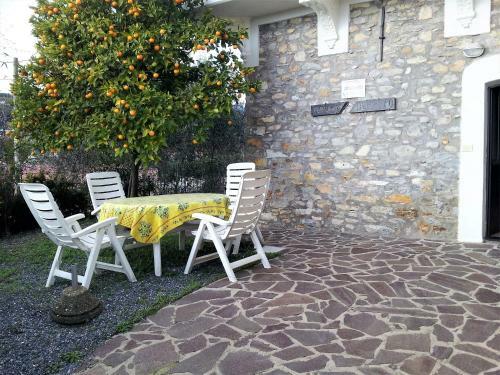 Apartamento Alloggio Ulivo