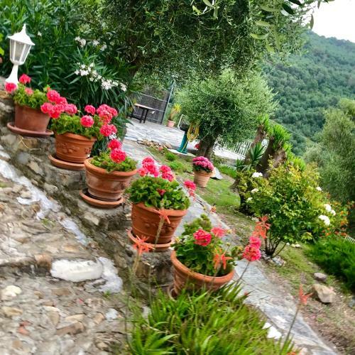 Apartamento Casa Belvedere