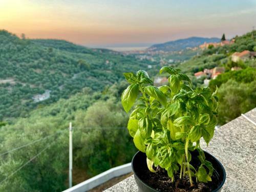 Apartamento Casa Belvedere
