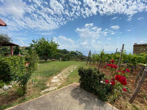 B&B La Sirenetta