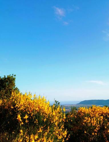 La Ginestra B&B