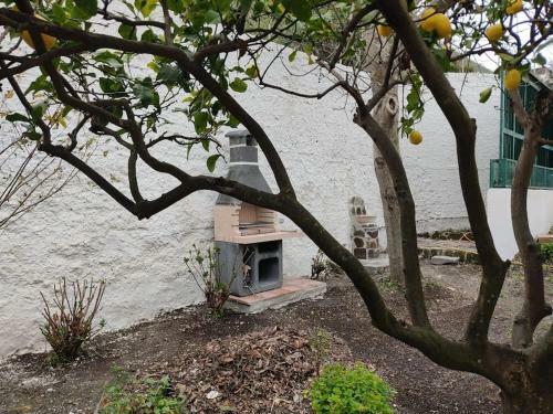 Villa Garden Home
