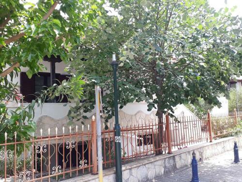 Spacious House 100 Metres From The Beach