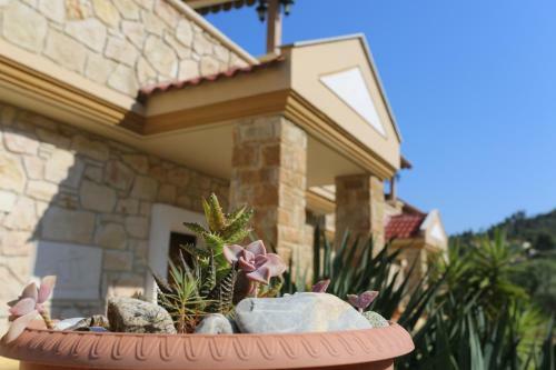 Villa Argo 2 - Beachfront, Big Gardens, Location!