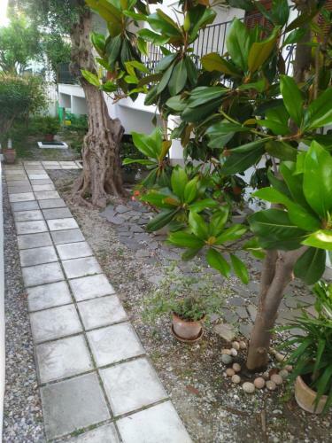 Alexandros Apartments