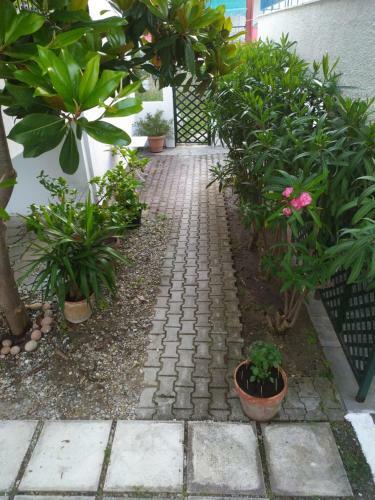 Alexandros Apartments