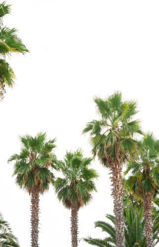 Tridente Mare Apart Hotel