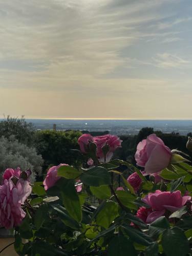 Hostal ?casa Am�lie?