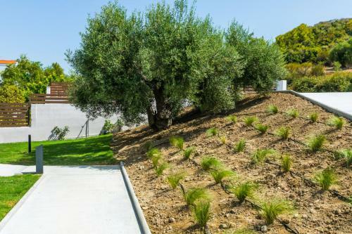 Dionisos Luxury Villas