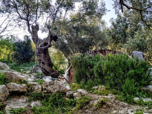 Lodge Terra Preveli