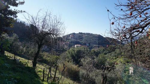 Villa La Maluda