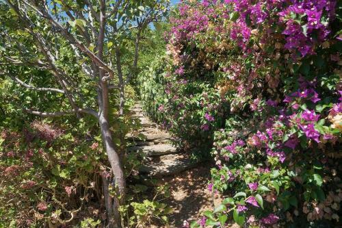 Villa Kea Architect?s The Haven Cottage ? Quiet Nature
