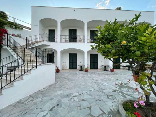 Hostal Casa Maria Luxury B&B
