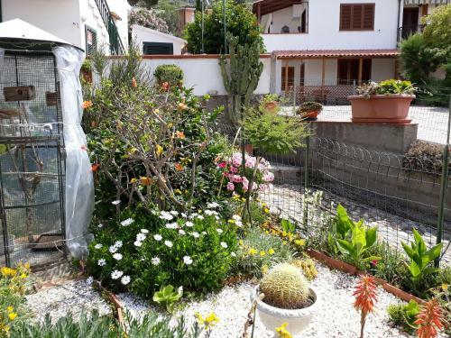 Casa Armida Chiessi