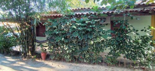 Casa De Praia