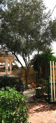 Apartamento Marzamemi Rent House