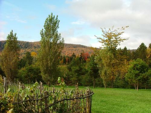 Chalets & Appartements Au Chant De La Rivi�re