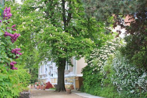 Hotel Waldfriede
