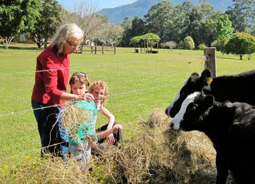 Bed & Breakfast Yarrahapinni Homestead