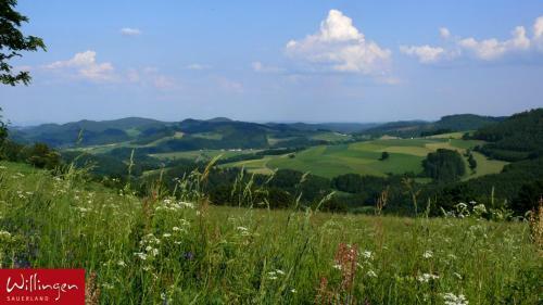 Hostal Pension Und Apartment Haus Angelika