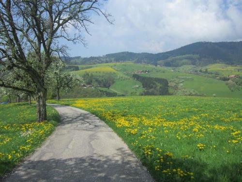 Apartamento Ferienhaus Hubhof