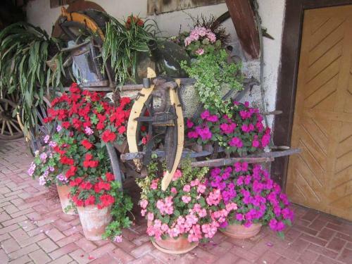 Apartamento Ferienhaus Hubhof