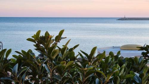 Bed & Breakfast Kalibia Rooms And Suites