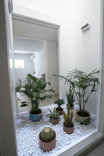 Bed & Breakfast Kalibia Rooms And Suites