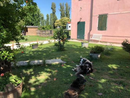 Agroturismo Pecore Ribelli