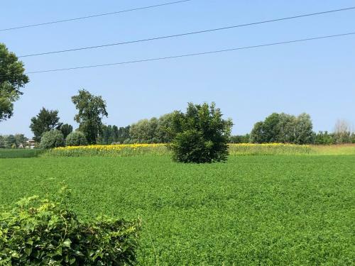 Agroturismo Pecore Ribelli