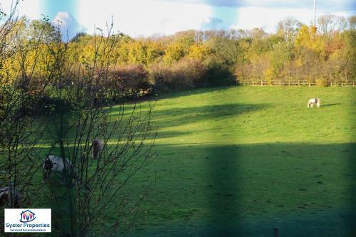 Syster Properties Serviced Accommodation Leicester 5 Bedroom House Glen View