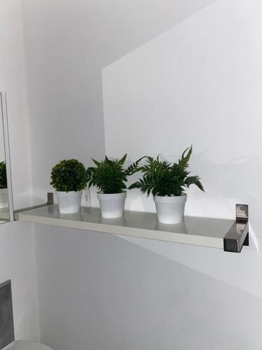 Large Apartment In City Centre With Parking!