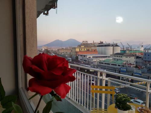 Vesuvio House