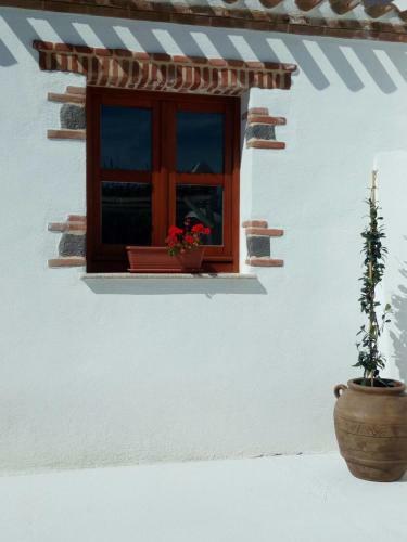 Apartamento Domo Baronia