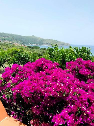 Apartamento Casa Vacanze Mar�