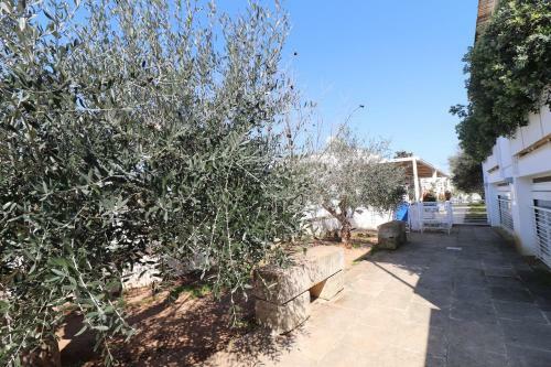 Casa Ginevra Lu Mare A Otranto