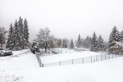 Apartamento Appartamento Alle Terrazze